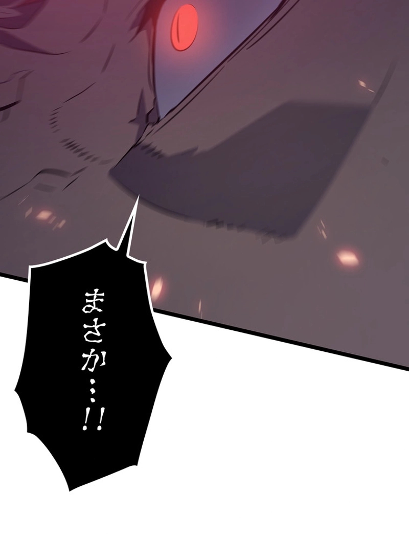 P113