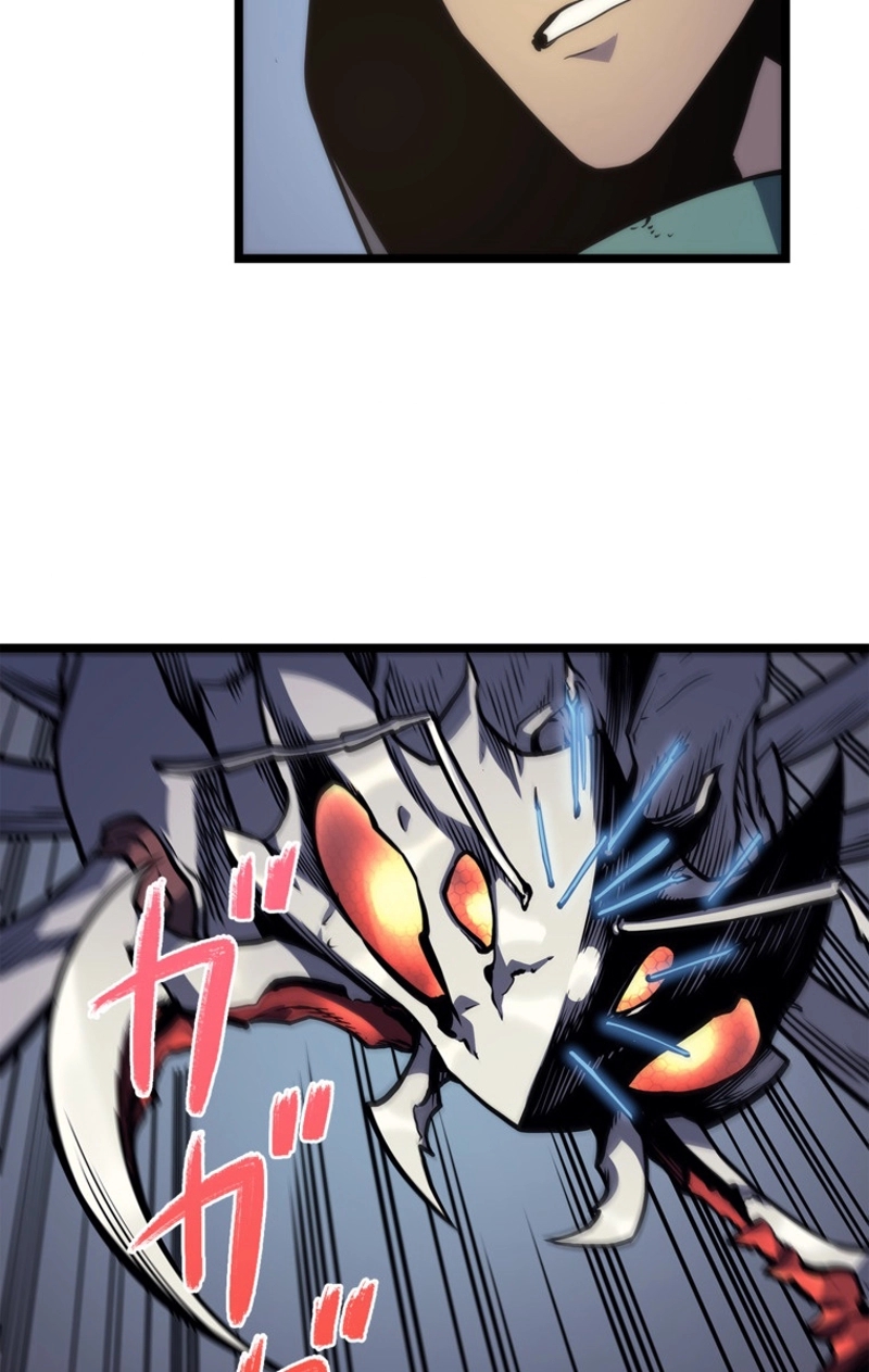 P53