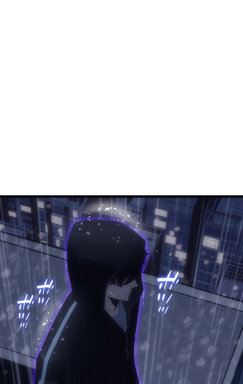 P53