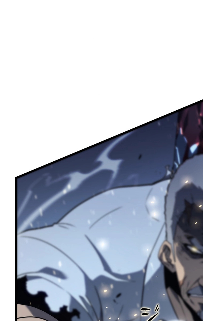 P117