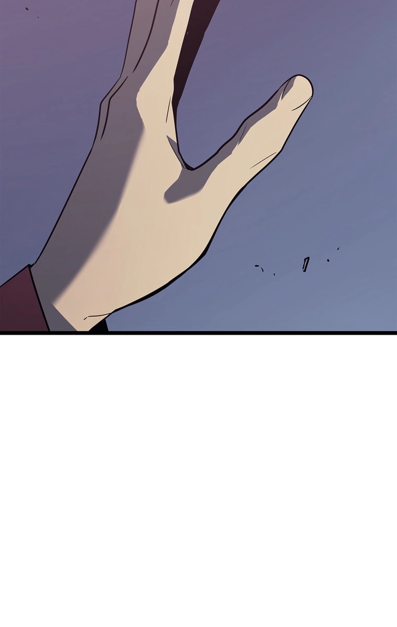 P81