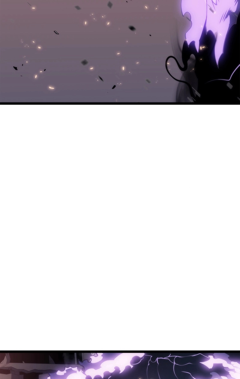 P65