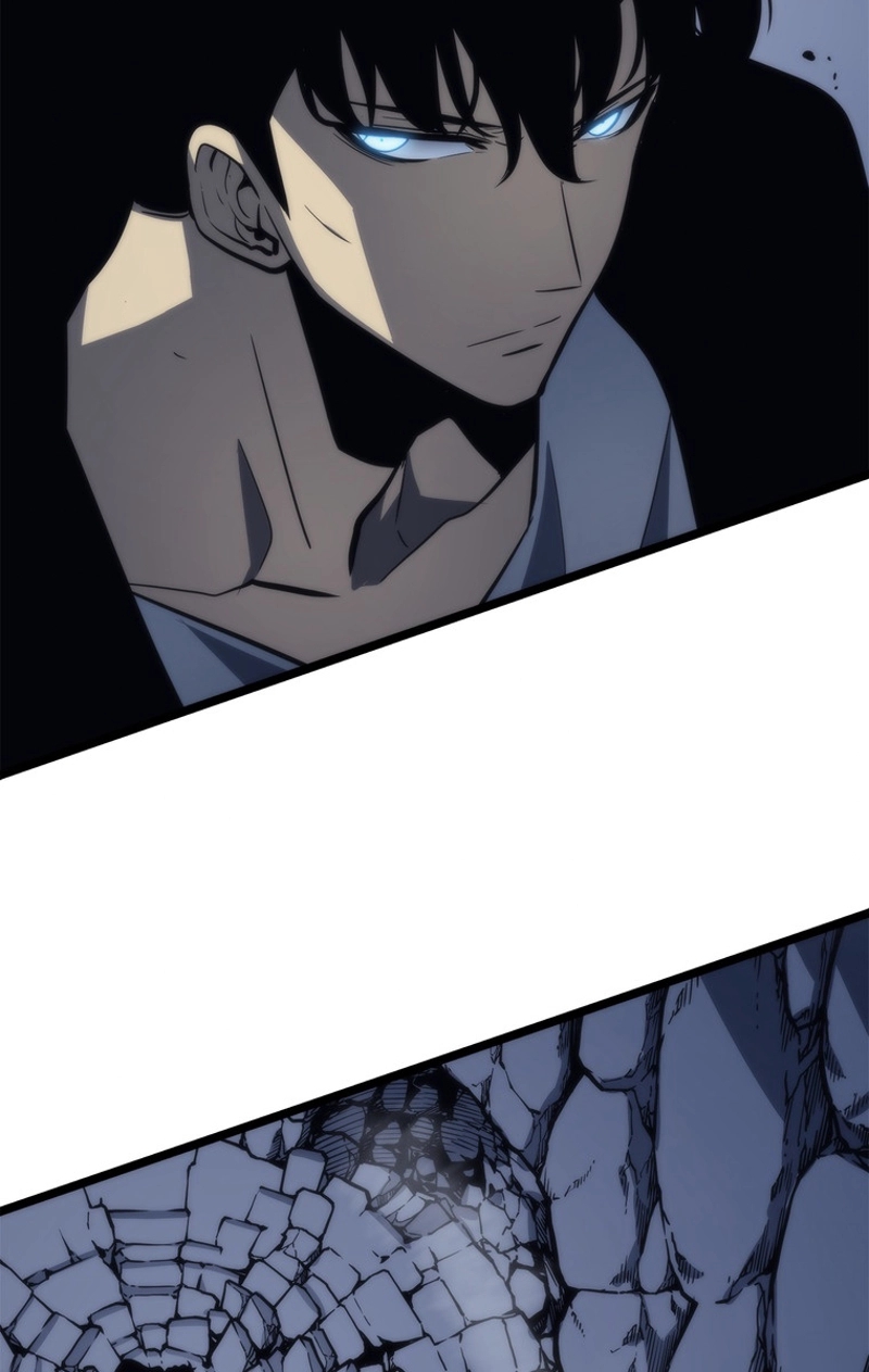 P63
