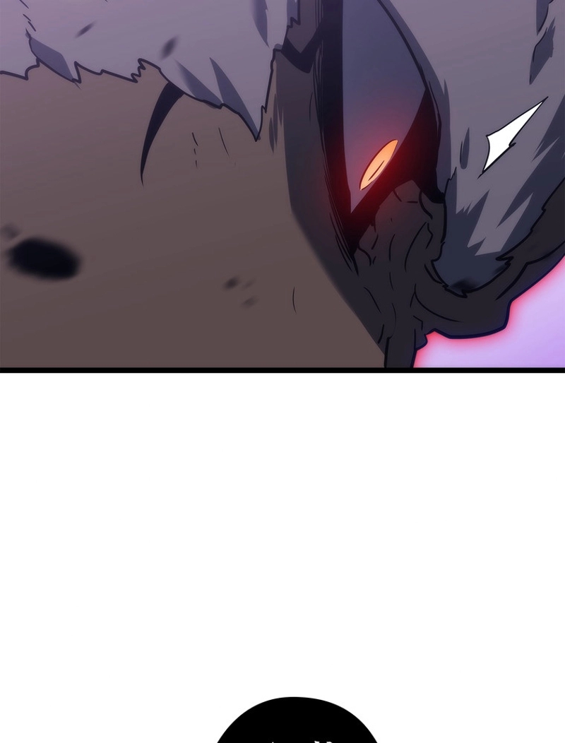 P141