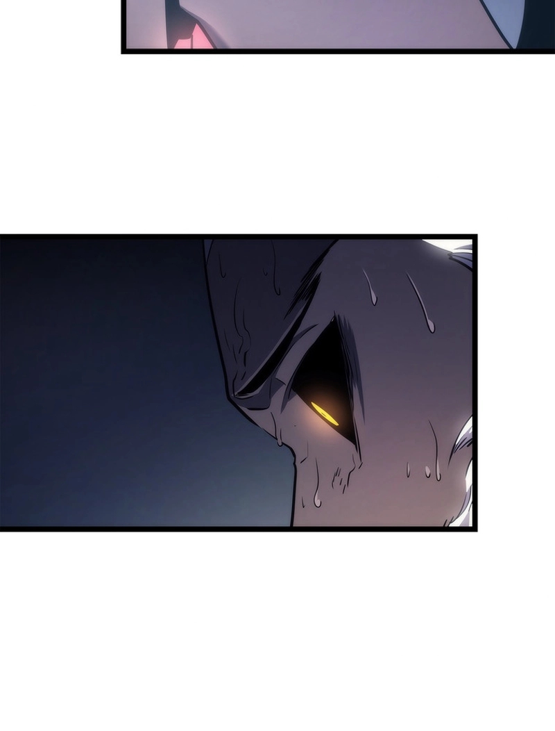 P81