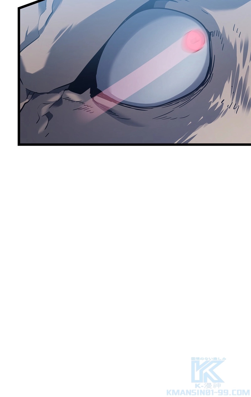 P58