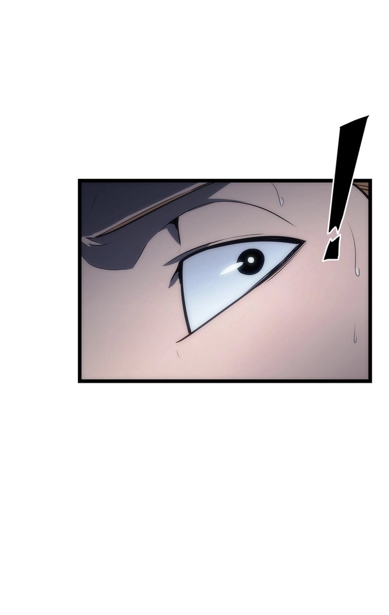 P84