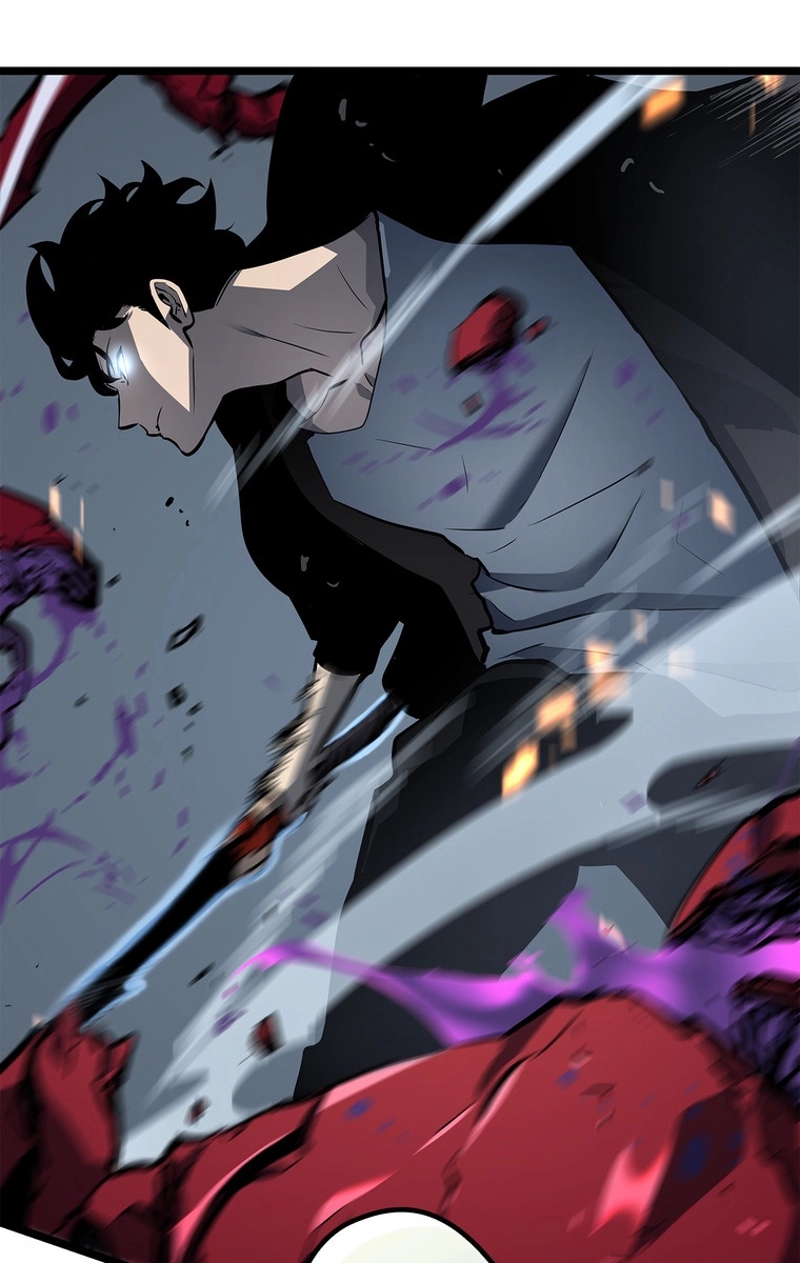 P53