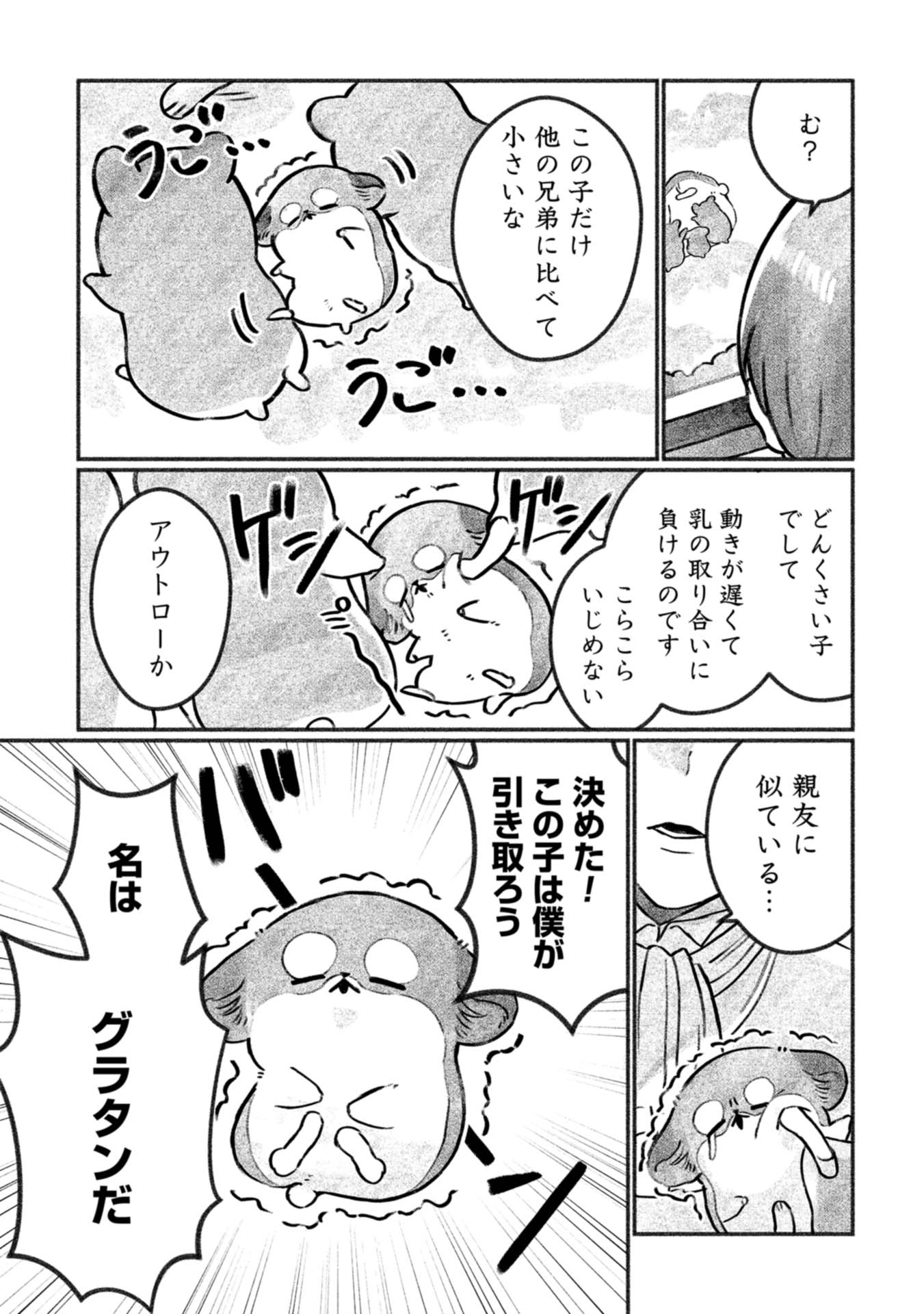 P19
