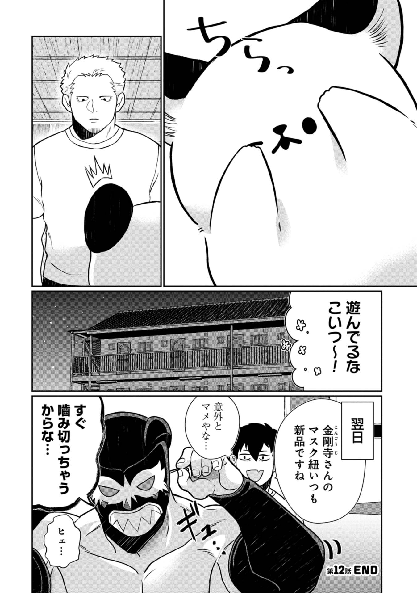 P12