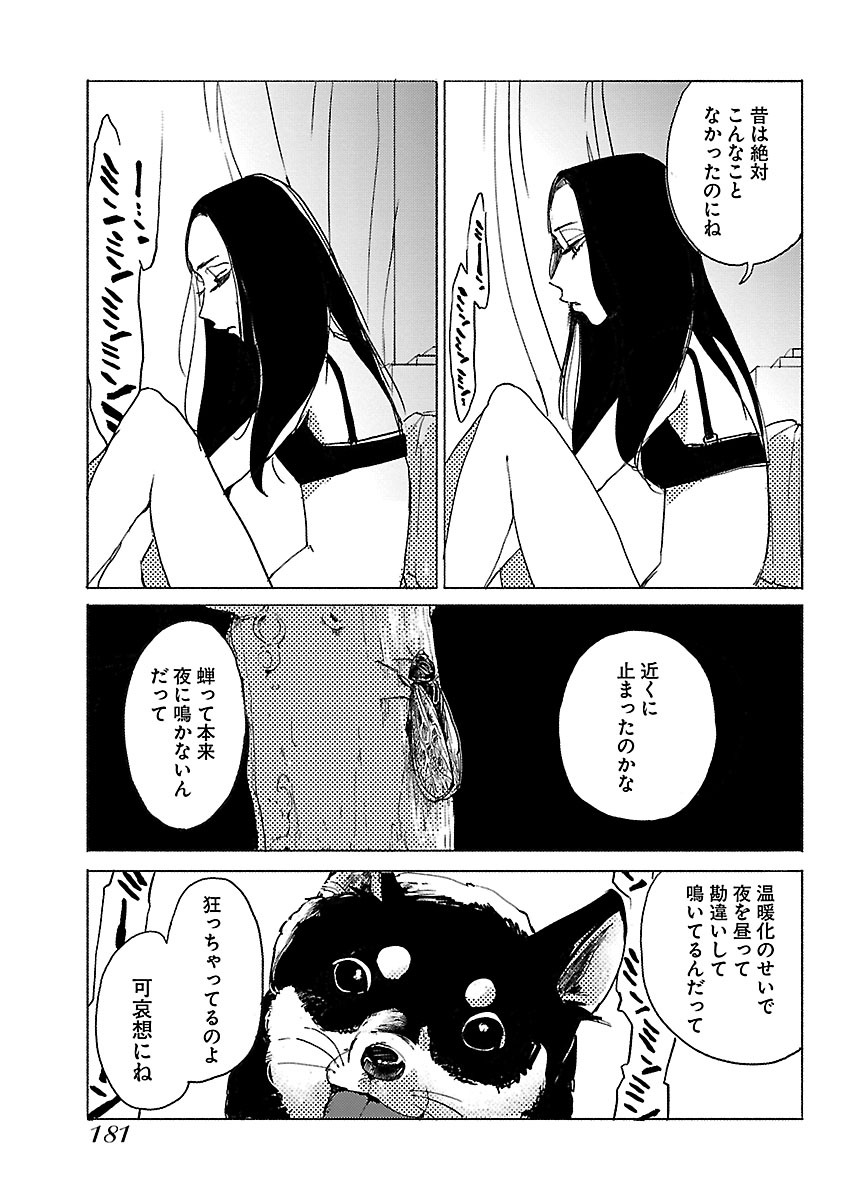 P33