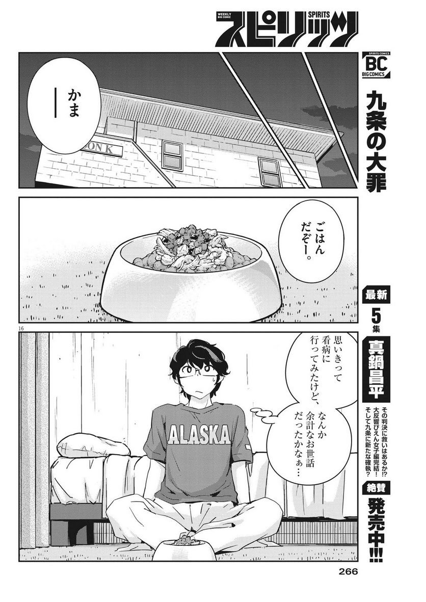 P16