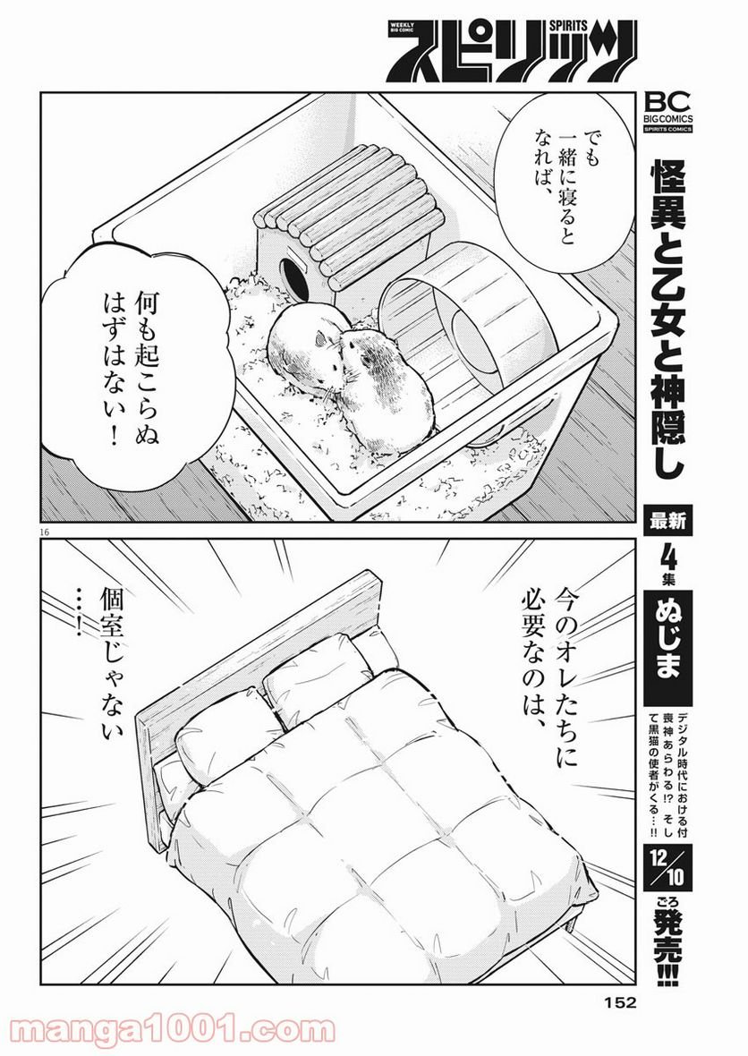 P16