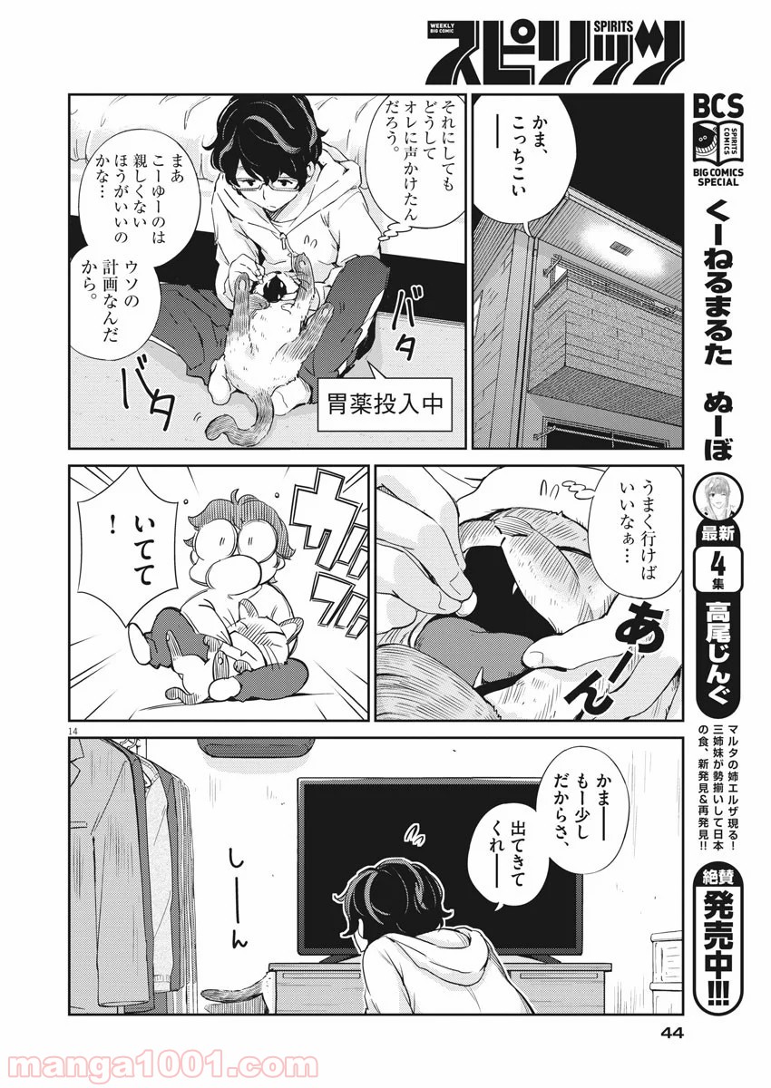 P14