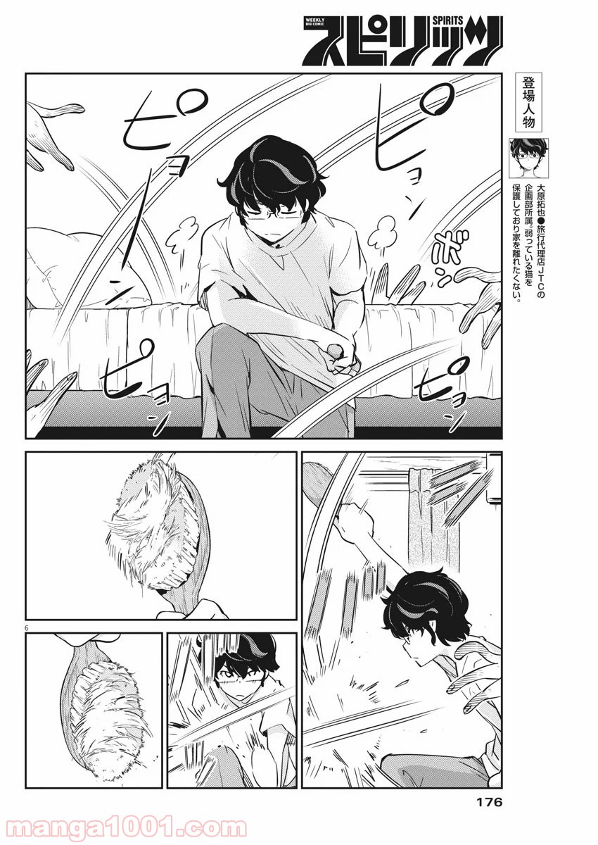 P6