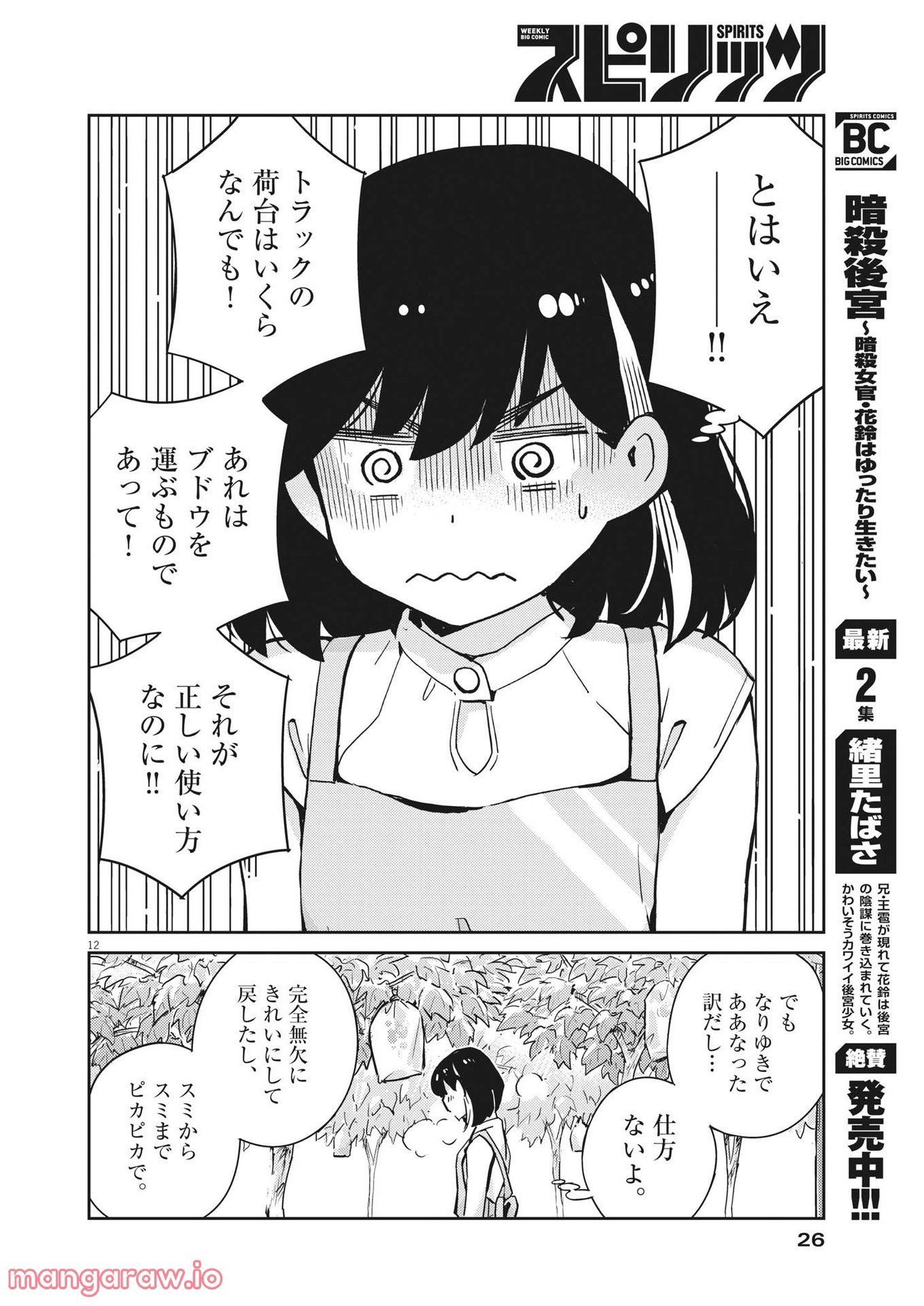 P12