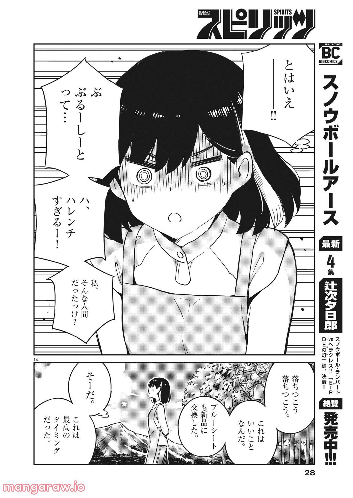P14