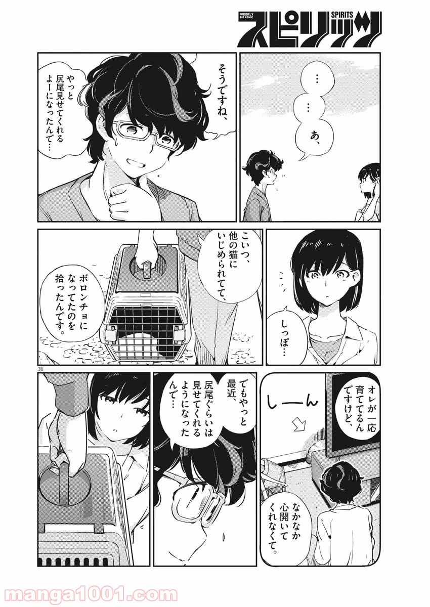P36