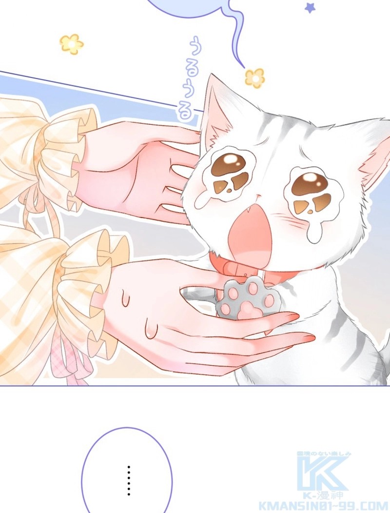 P43