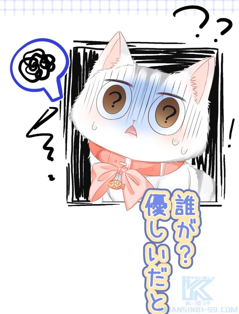 P46