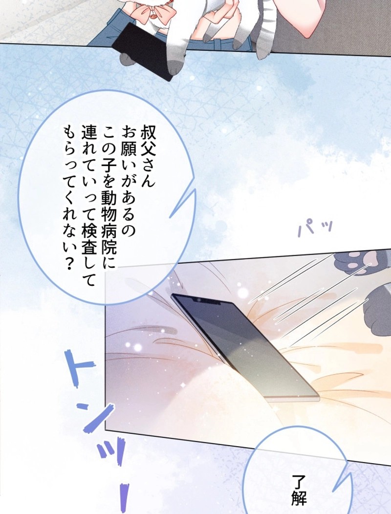 P44