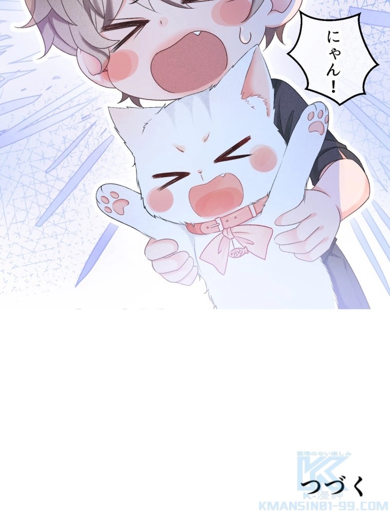 P58