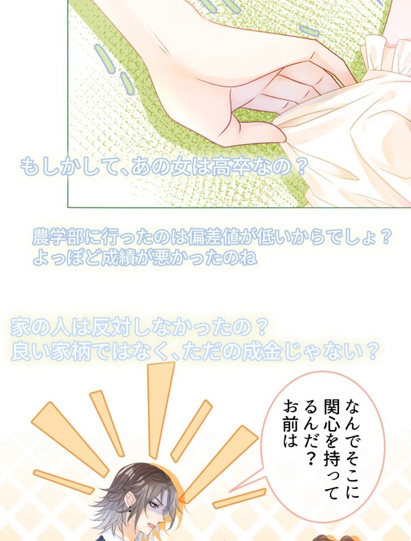 P24