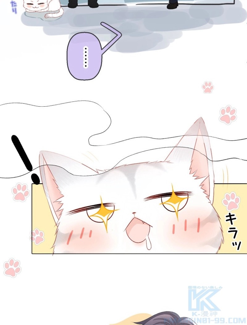 P55