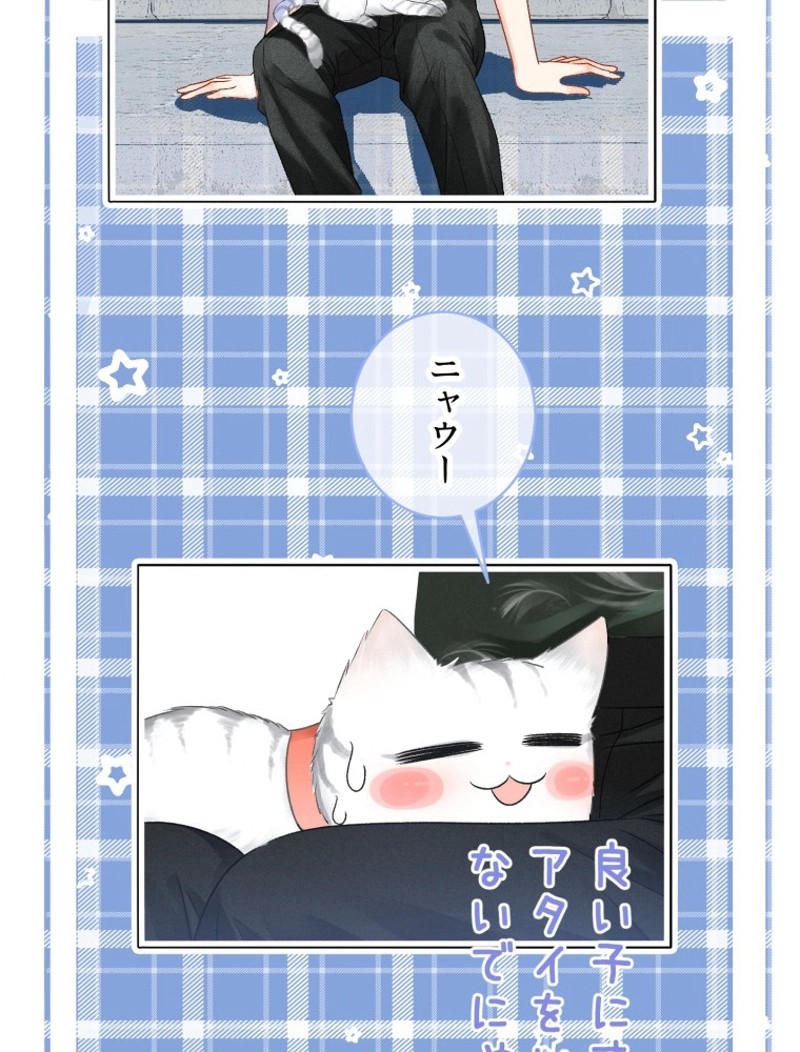 P48