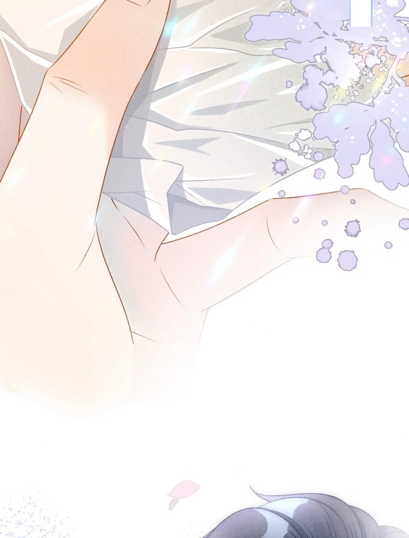 P66