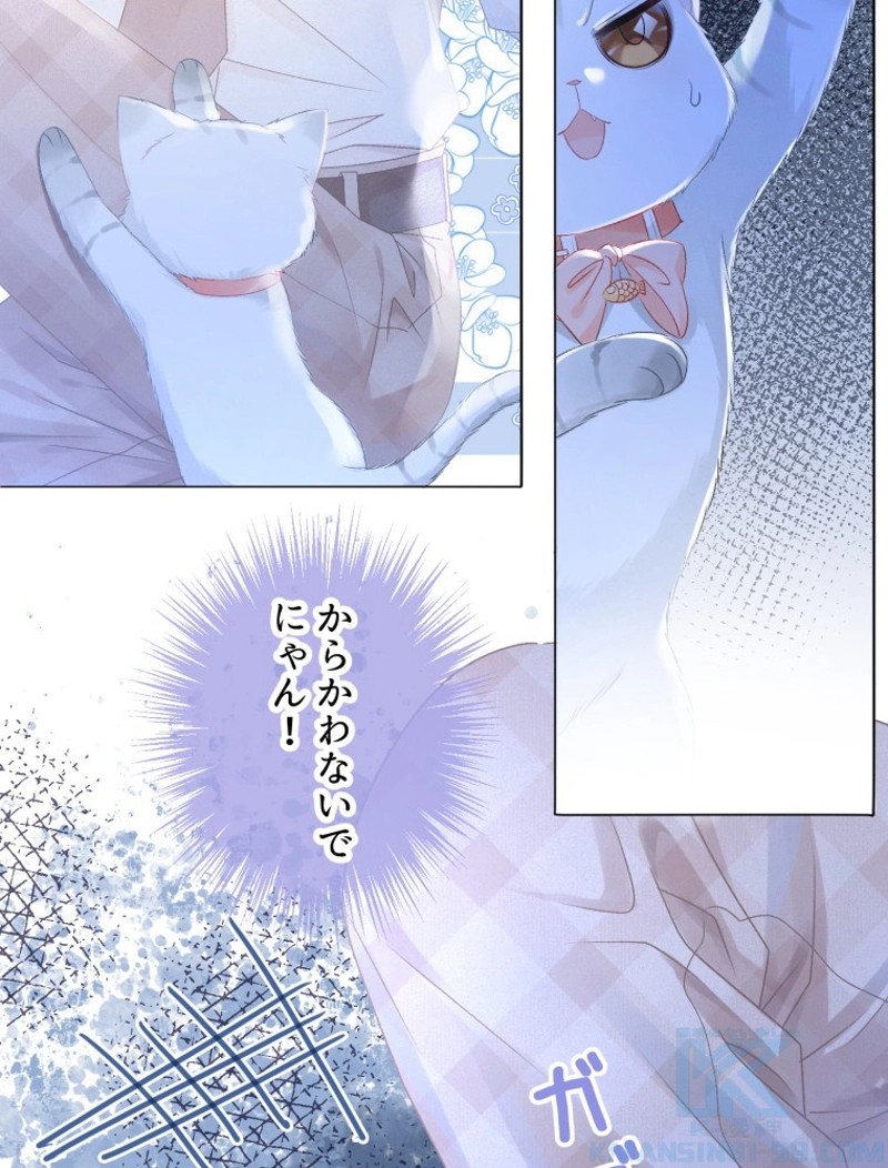 P31