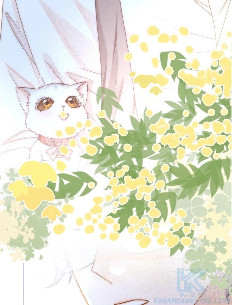 P64