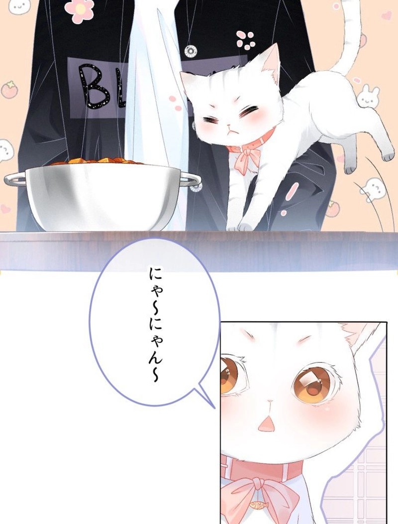 P63