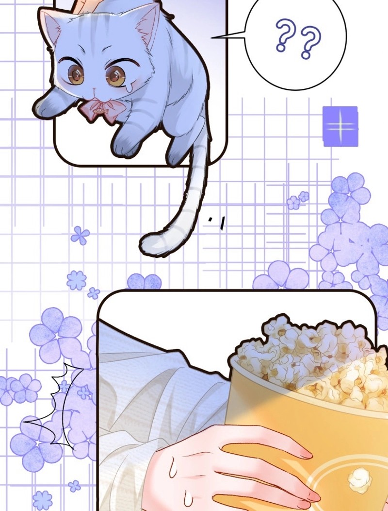 P62