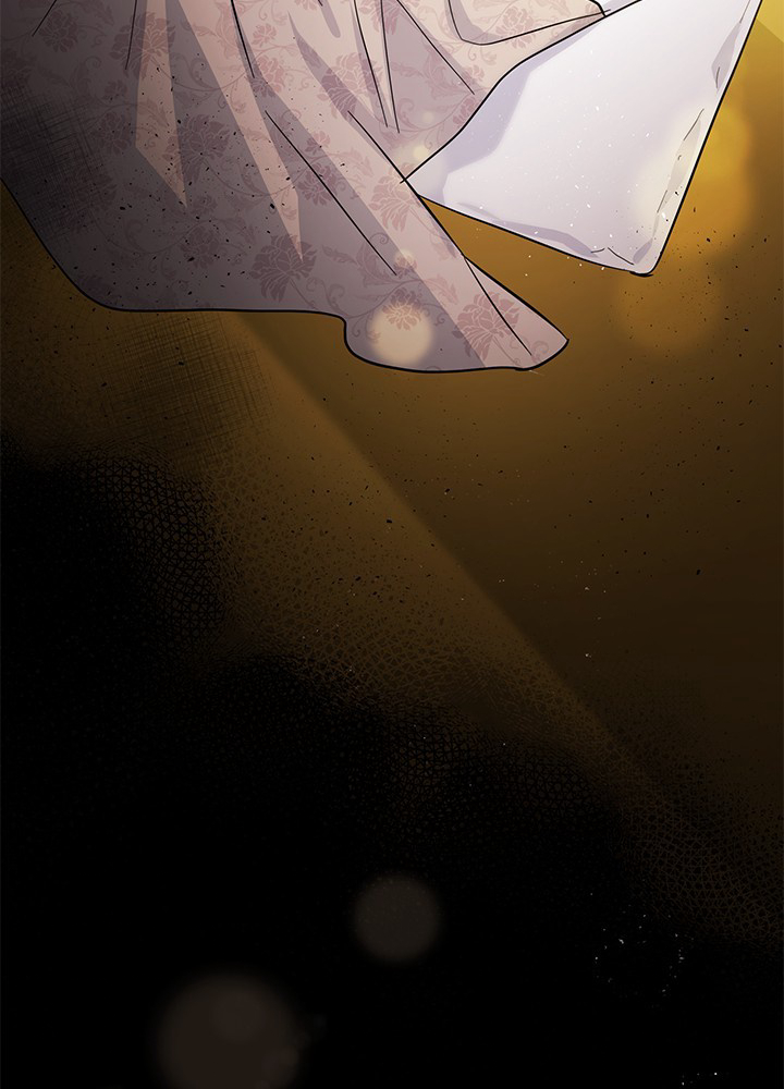 P53