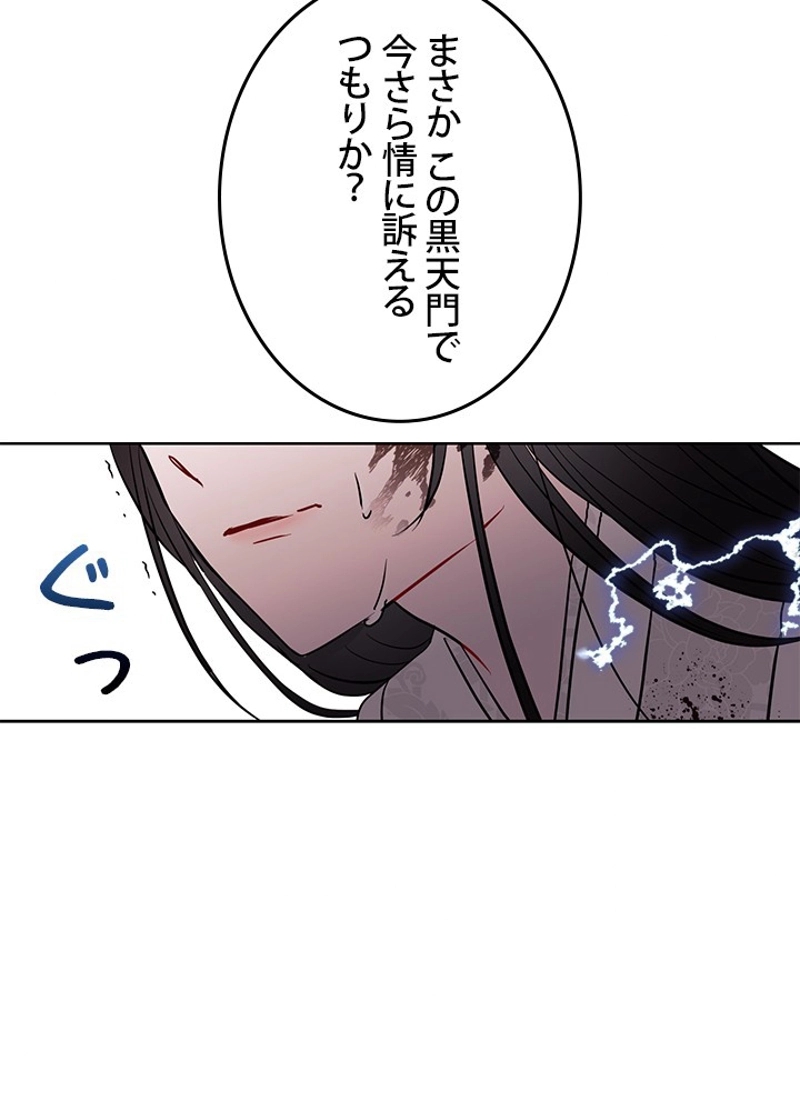 P53