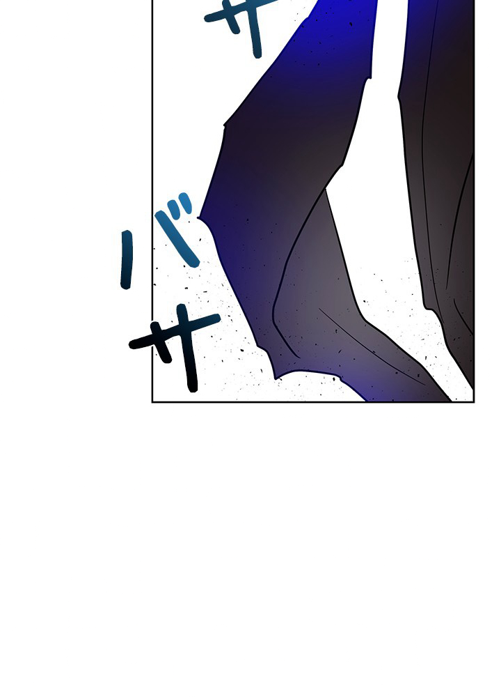 P53