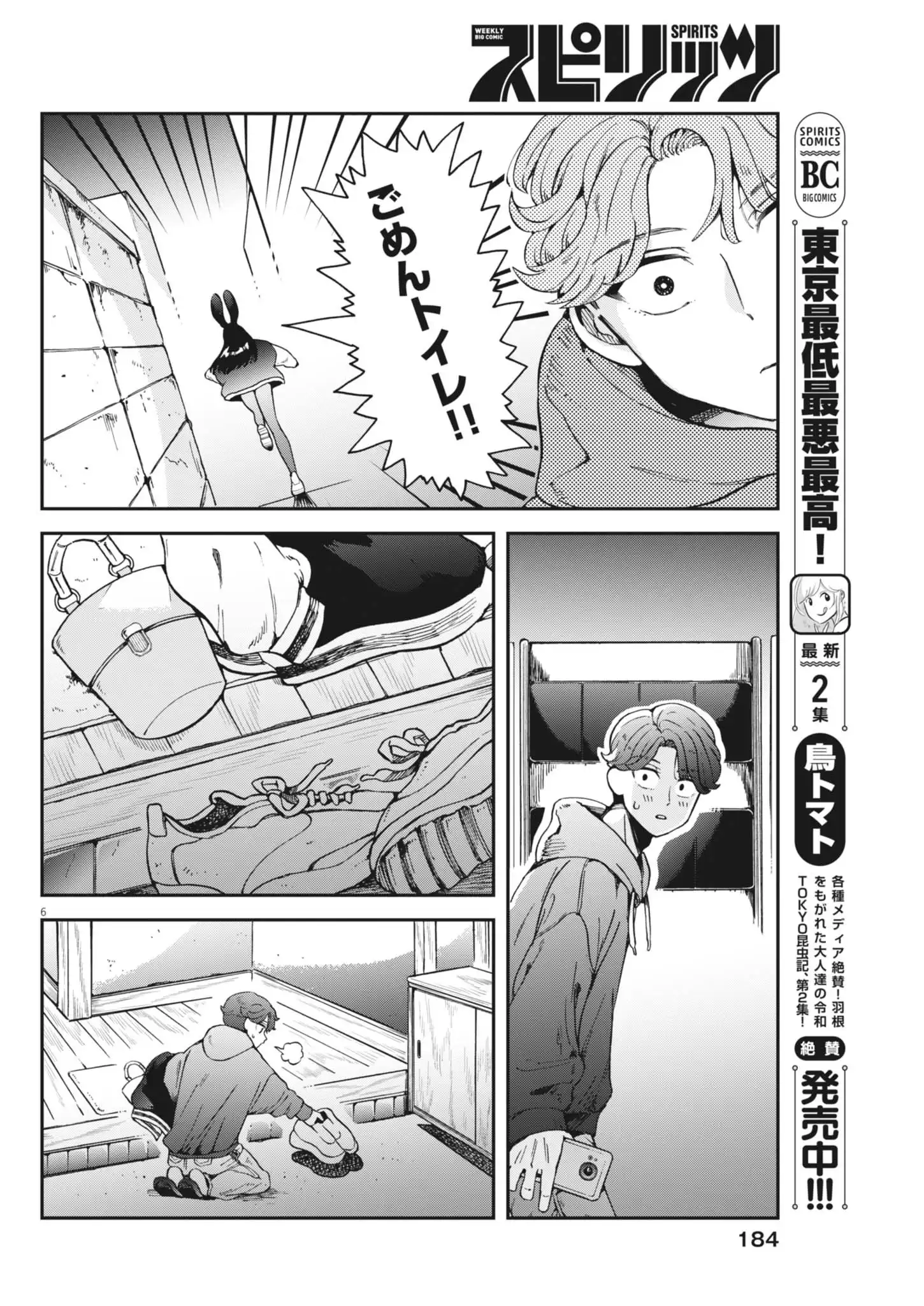P6