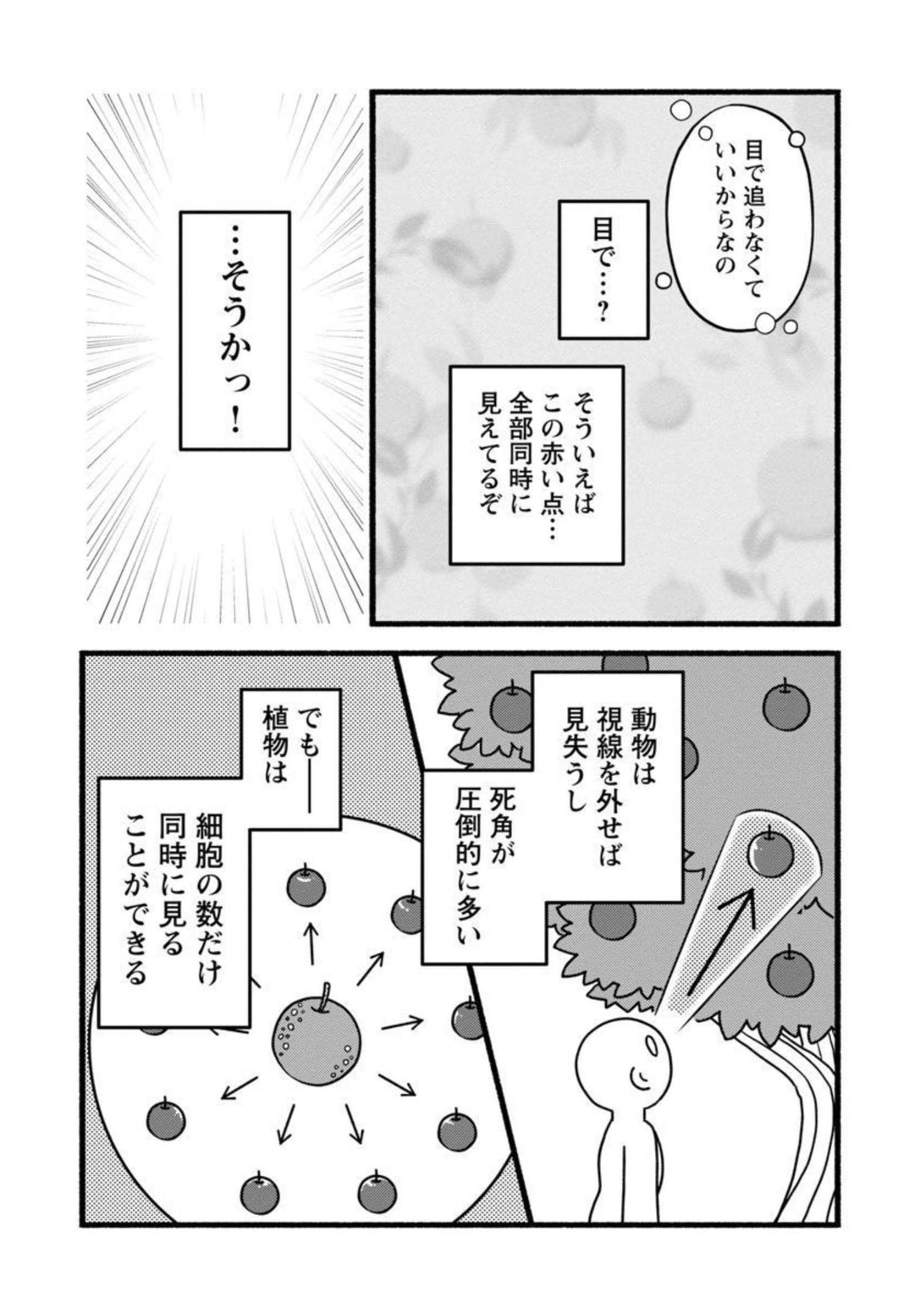 P32