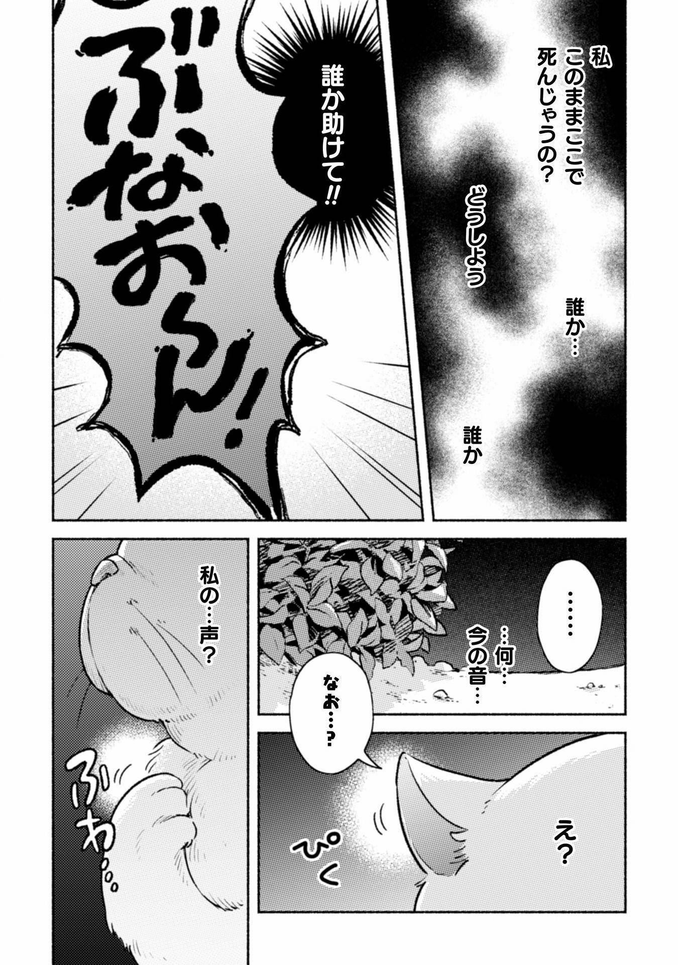 P66