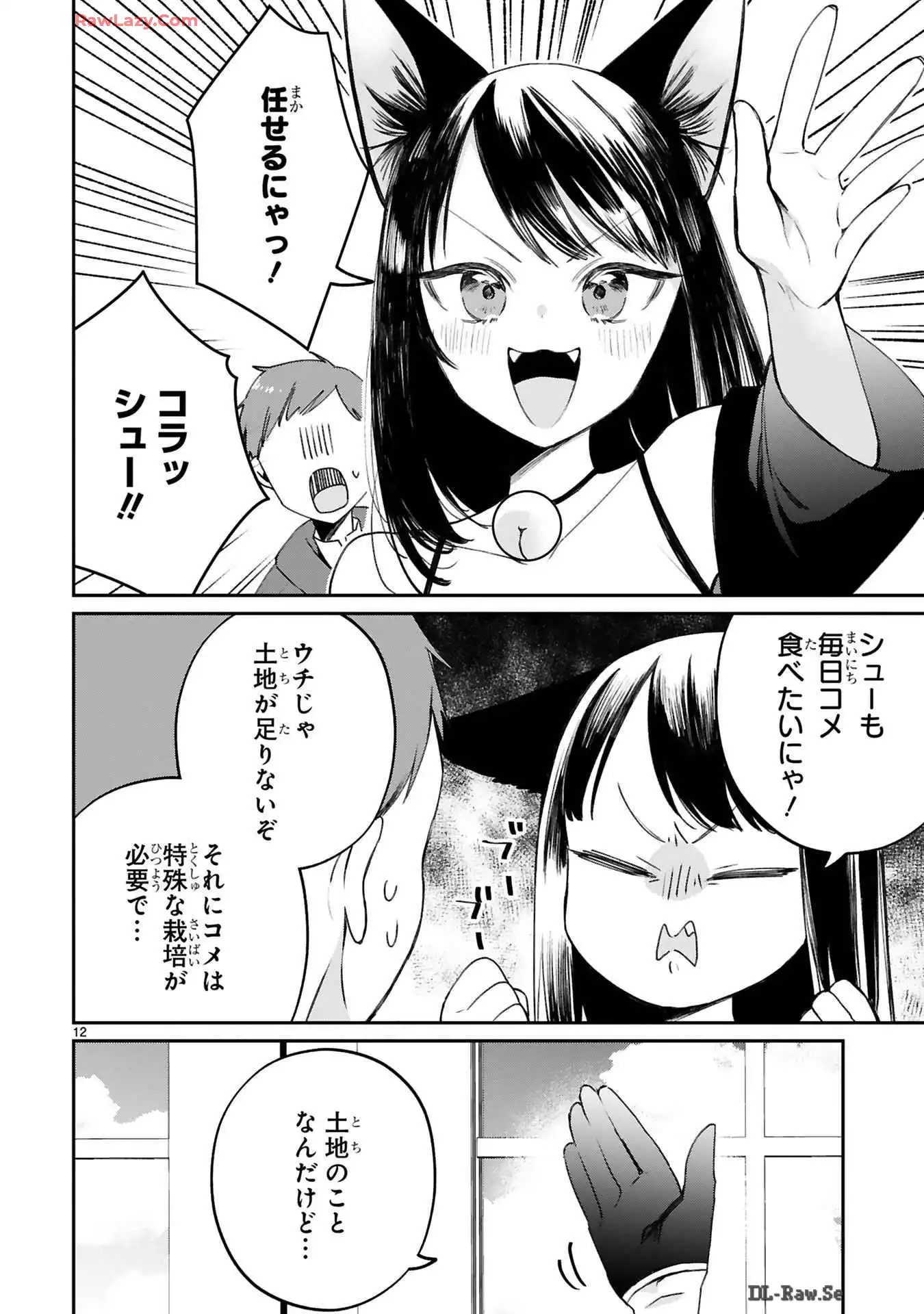 P12