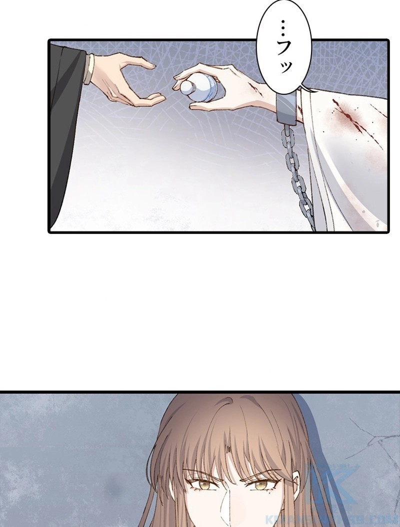 P46