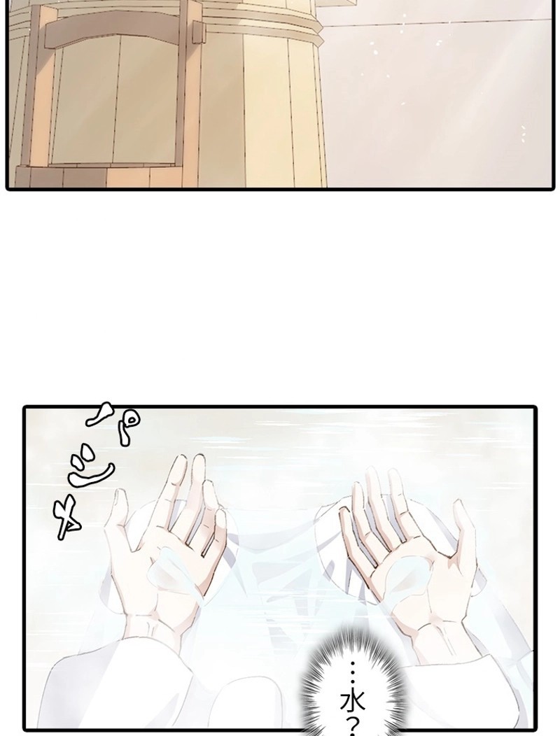 P53