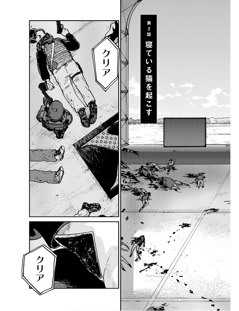 P3