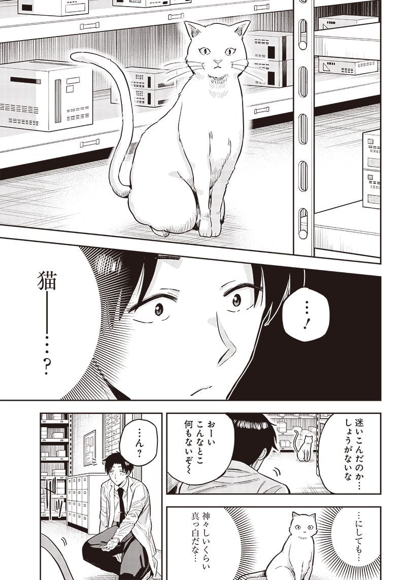 P13