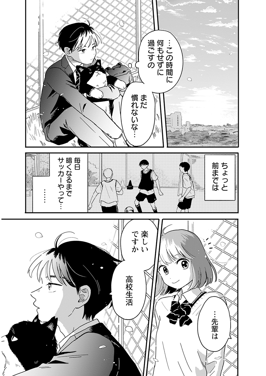 P31