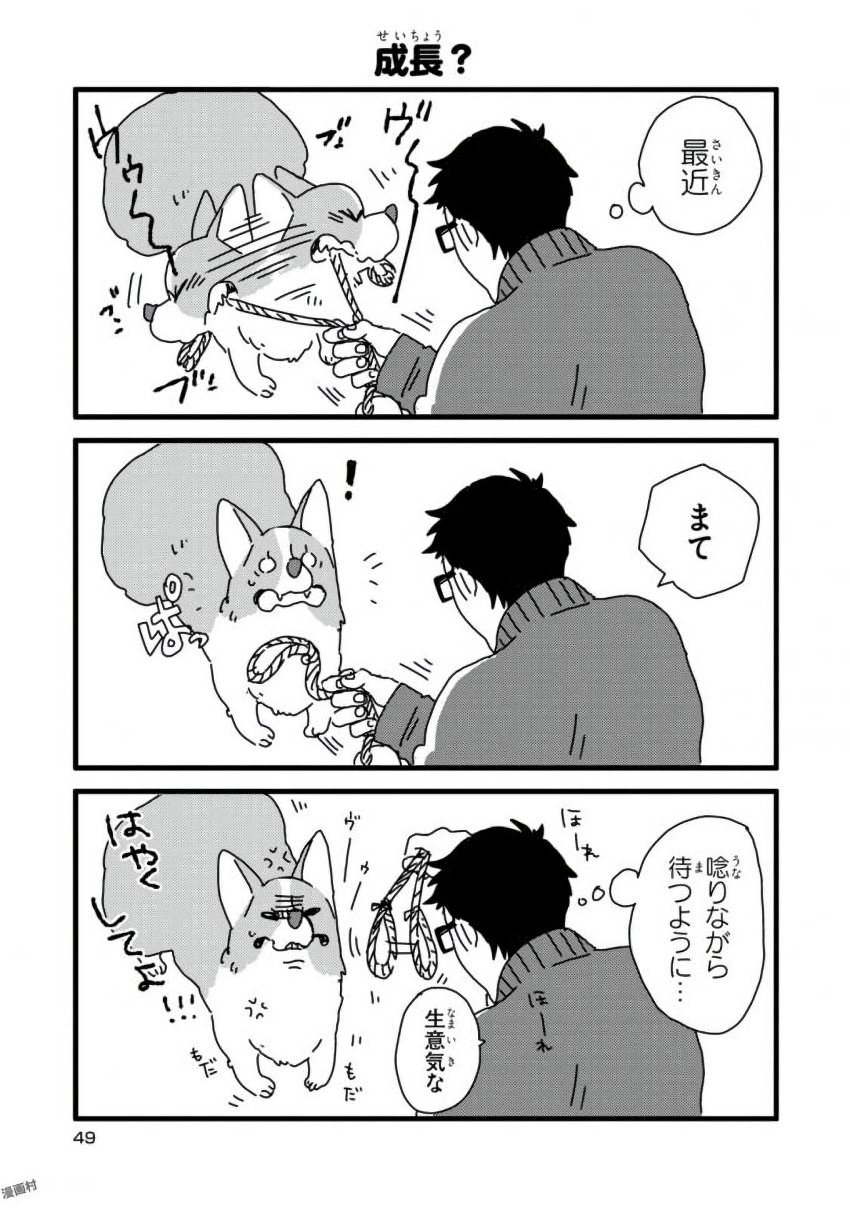 P11