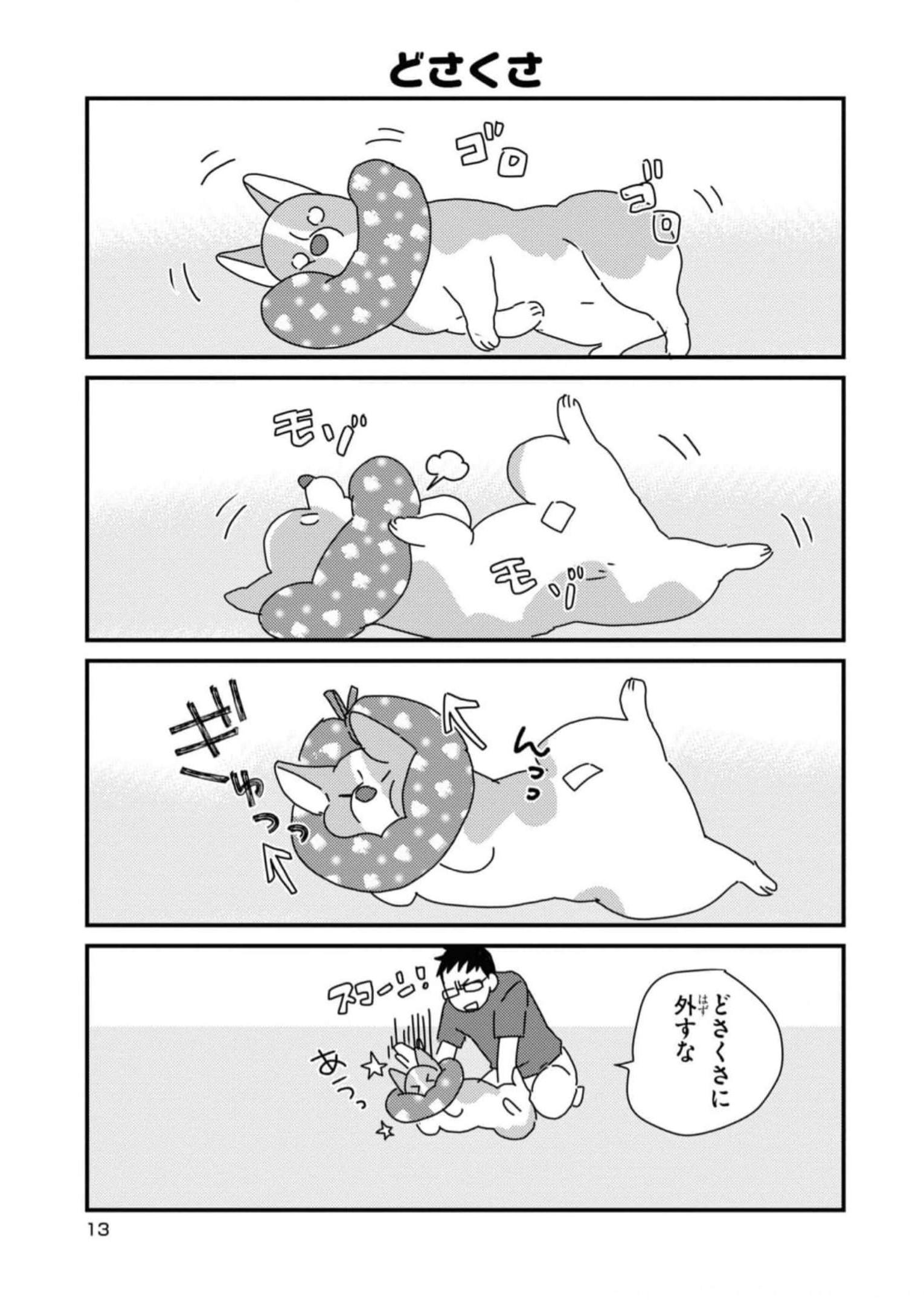 P11