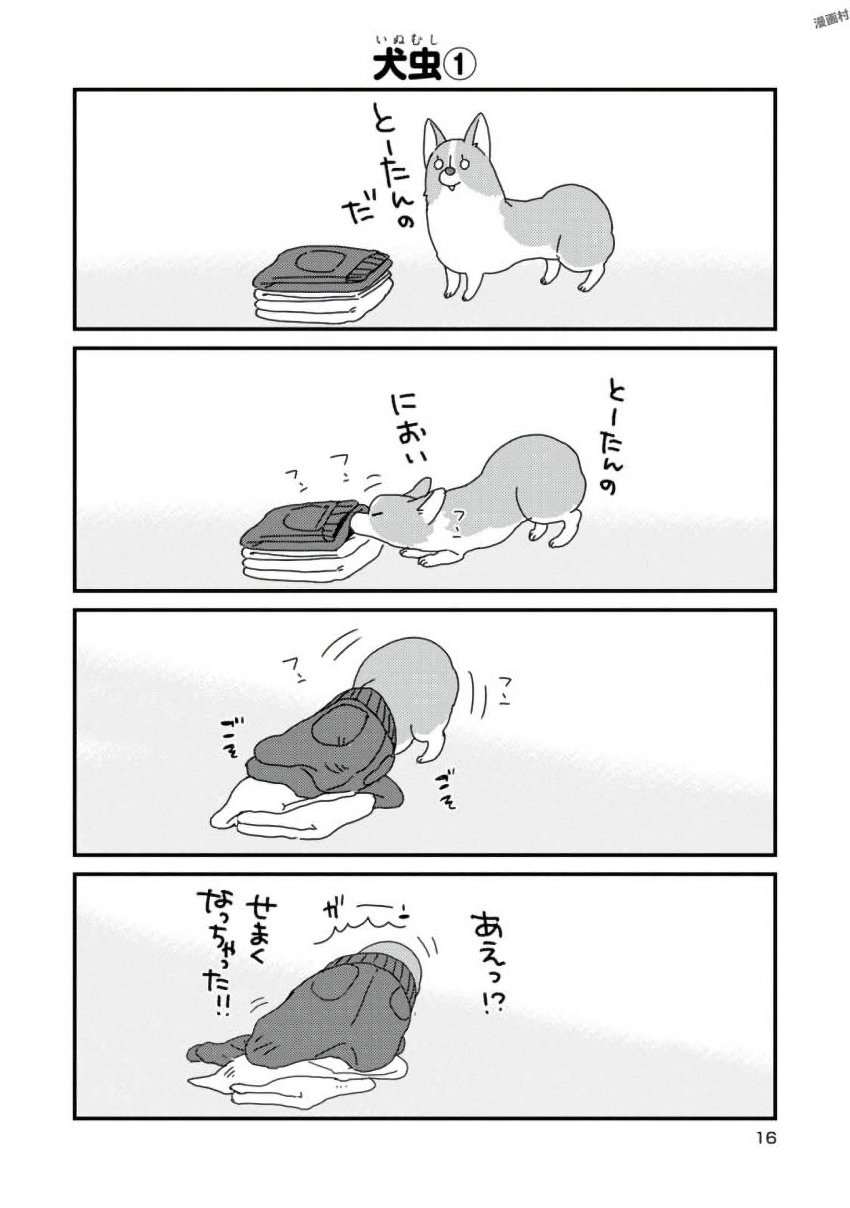 P14