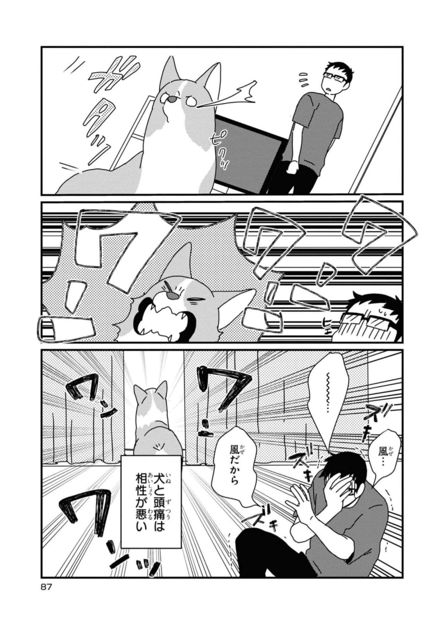 P12